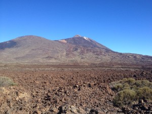 IMG_3529