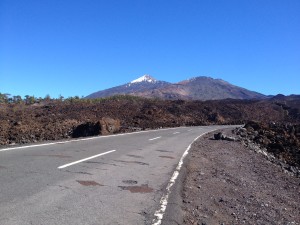 IMG_3550
