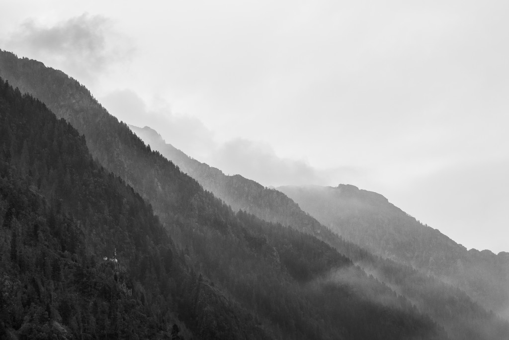 _MG_3008