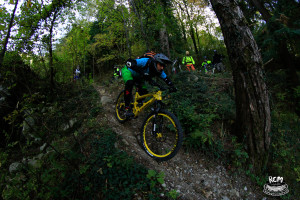 gemona20150001