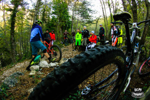gemona20150003
